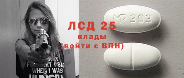 стаф Снежногорск
