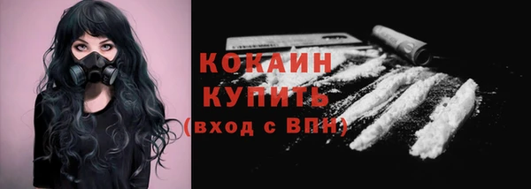 стаф Снежногорск