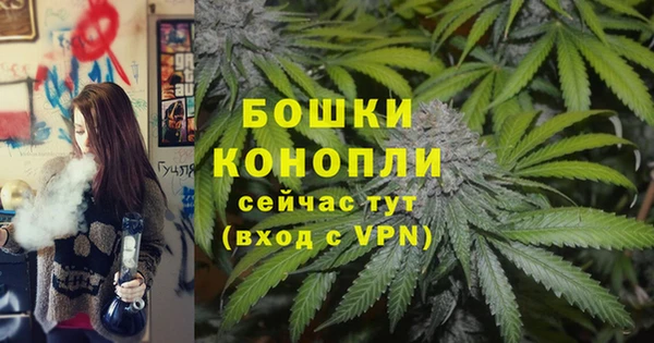 стаф Снежногорск