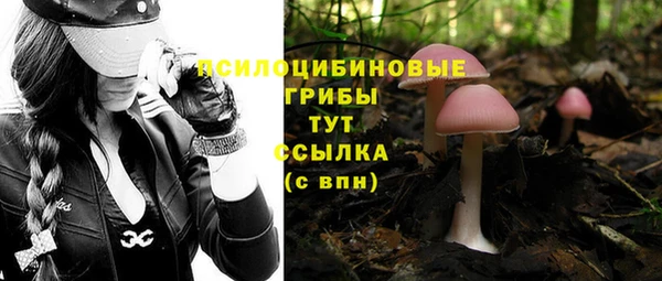 прущий лед Бикин