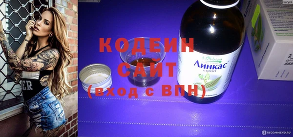 прущий лед Бикин