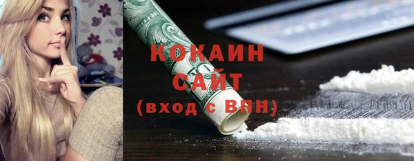 меф Снежинск
