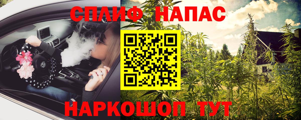 Бошки Шишки гибрид Брянск